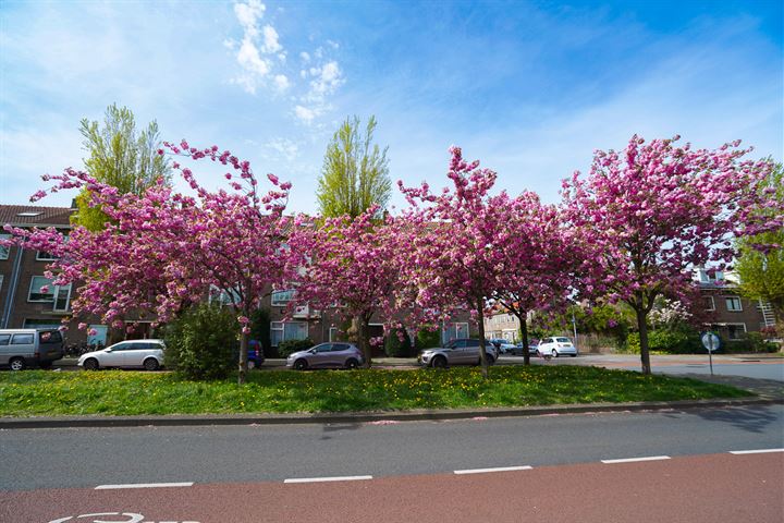 Bekijk foto 23 van Nachtegaalstraat 89