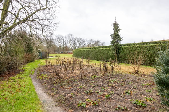 Bekijk foto 11 van Oude Boekeloseweg 88