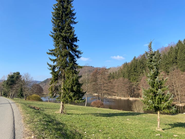 Photo 21 of Vor den Eichen