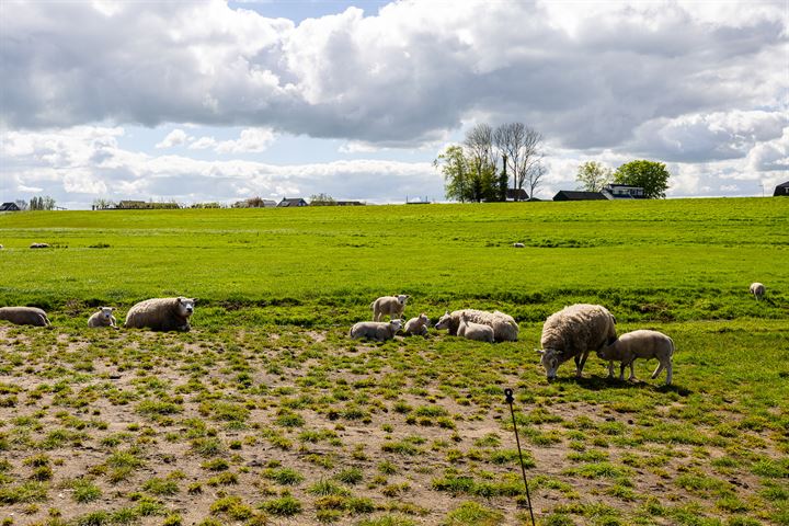 View photo 45 of Hogedijk 10