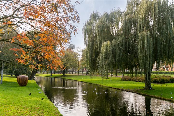 Bekijk foto 17 van Henegouwerlaan 58-B