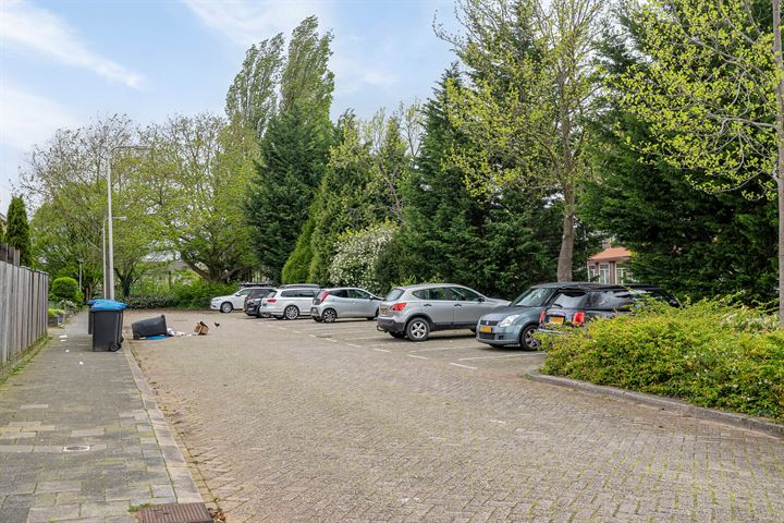 Bekijk foto 40 van Lingestraat 26