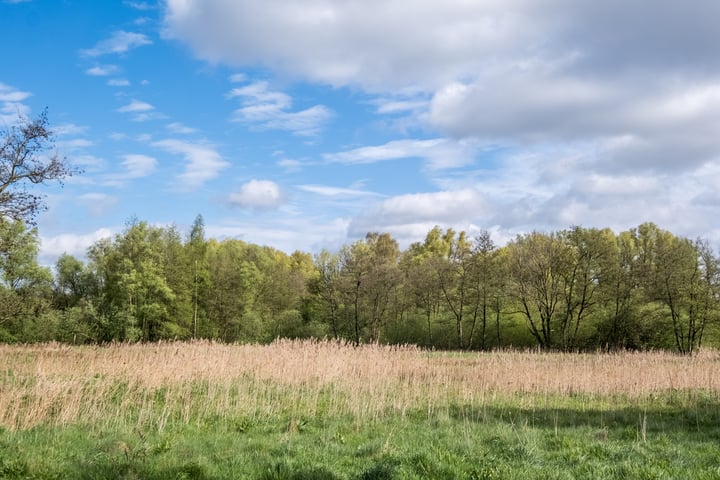 Bekijk foto 31 van Griendstraat 61