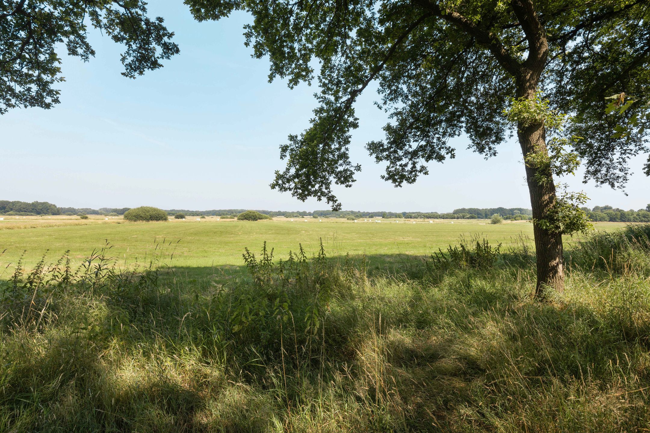 Photo 60 of Hoornderweg 31
