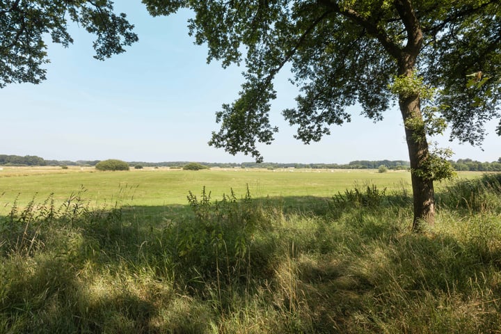 Bekijk foto 47 van Hoornderweg 31