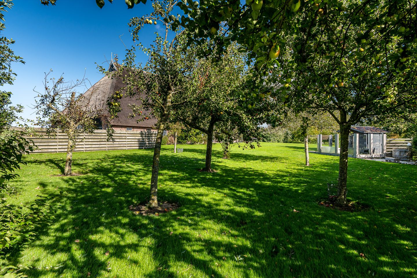 Photo 25 of Hovensreed 3