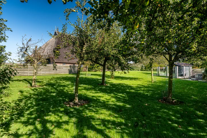 Foto 25 van Hovensreed 3