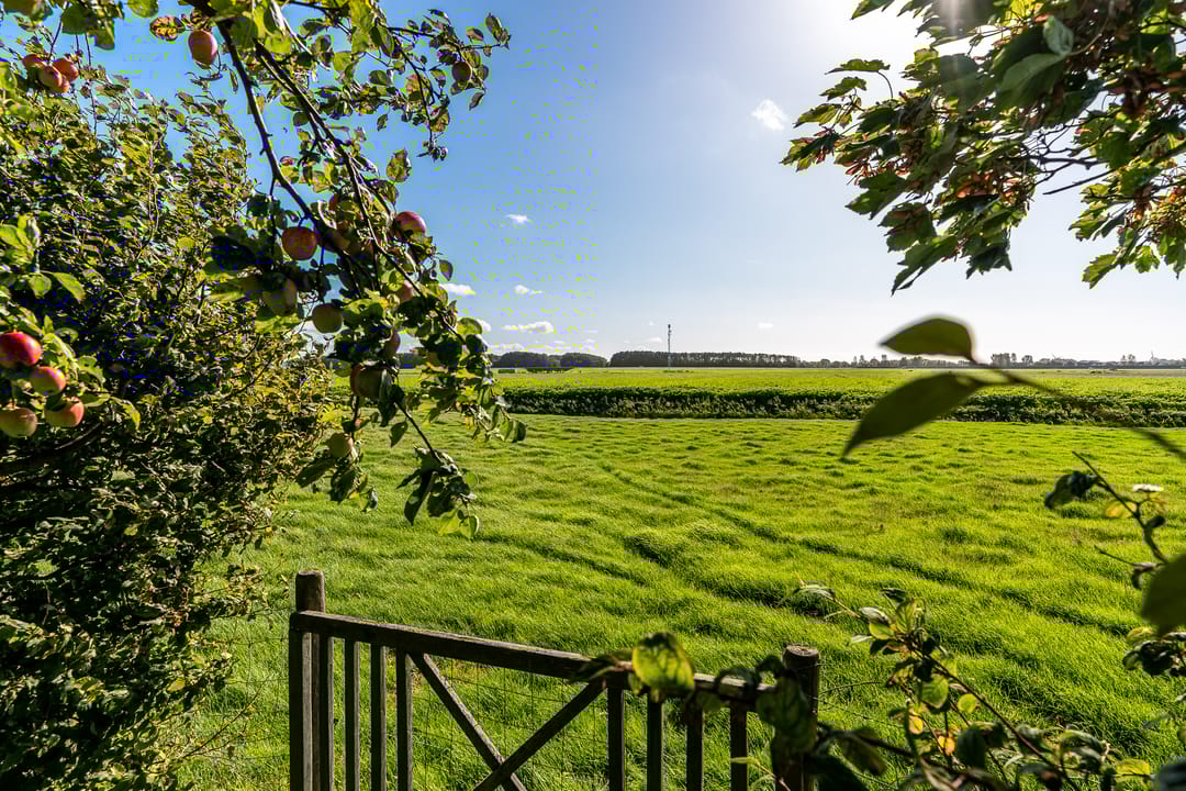 Photo 26 of Hovensreed 3