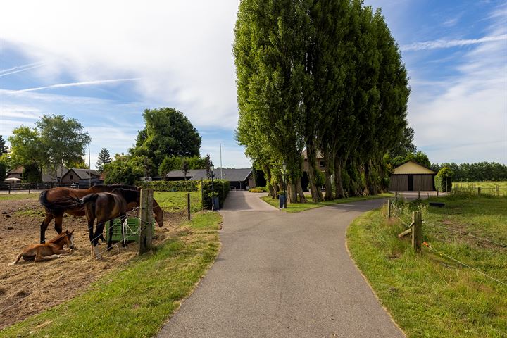 Bekijk foto 51 van Koeweg 2