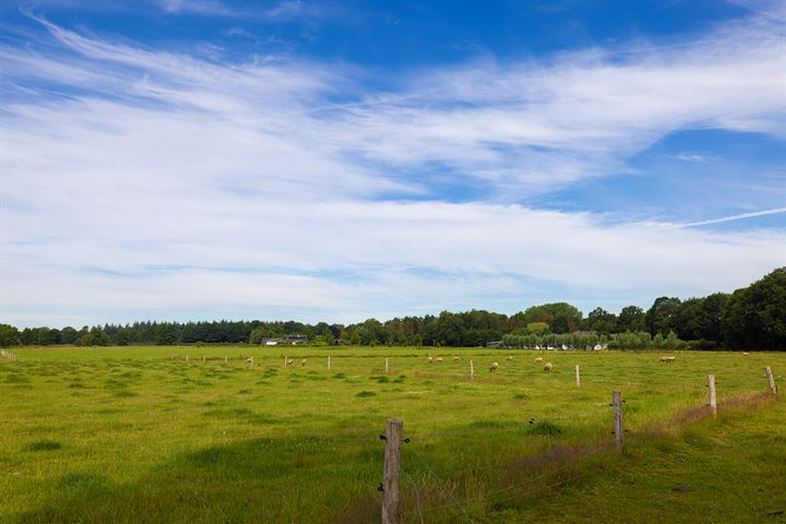 Bekijk foto 54 van Koeweg 2