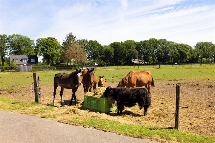 Bekijk foto 57 van Koeweg 2