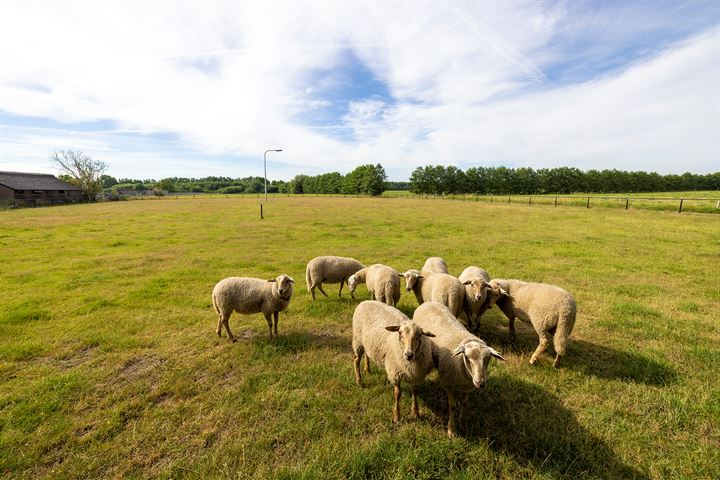 Bekijk foto 55 van Koeweg 2