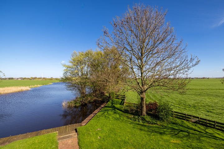 Bekijk foto 44 van Buurterpolder 4