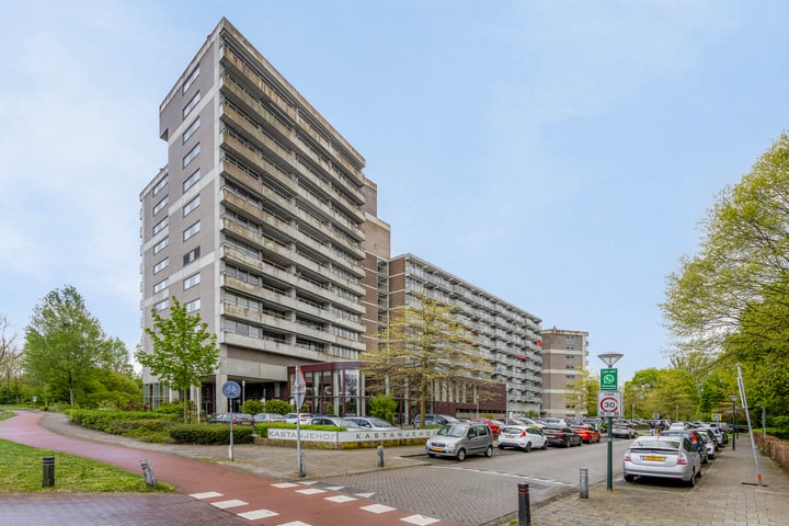 Bekijk foto 1 van Kastanjehof 327