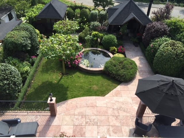 Foto 65 van Aalscholver 3