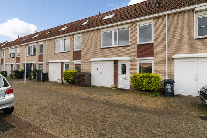 Foto 4 van Aalscholver 3