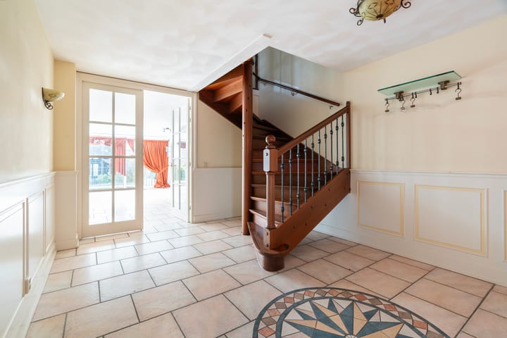 Foto 7 van Aalscholver 3