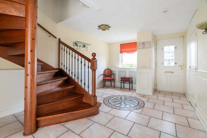 Foto 8 van Aalscholver 3