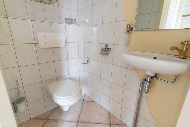 Foto 9 van Aalscholver 3