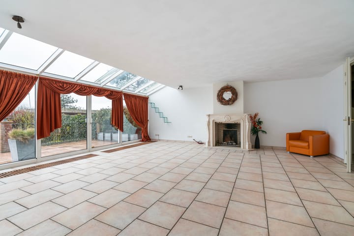 Foto 11 van Aalscholver 3