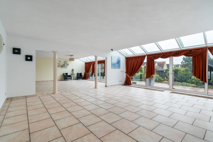 Foto 10 van Aalscholver 3