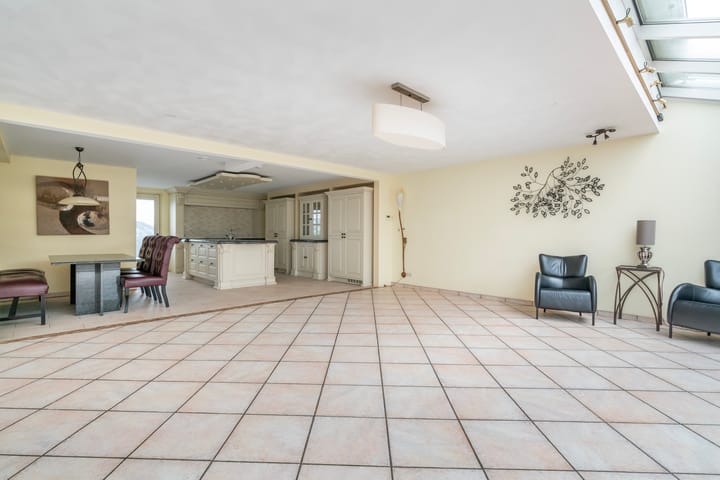 Foto 13 van Aalscholver 3