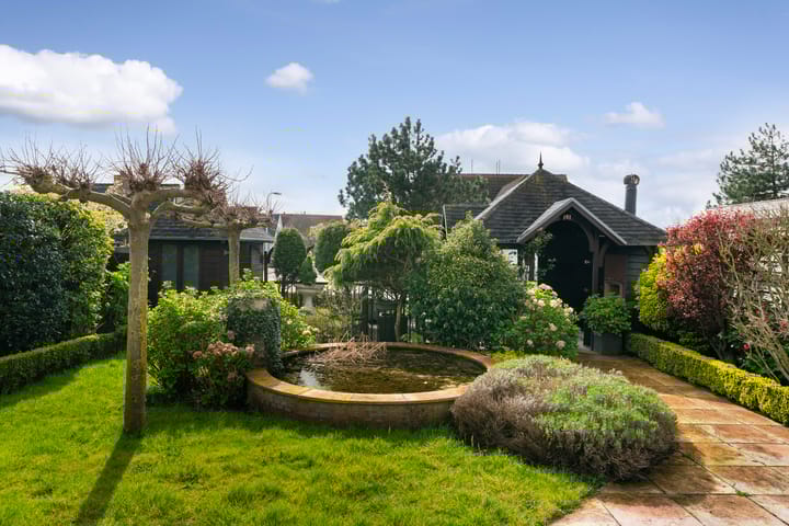 Foto 22 van Aalscholver 3