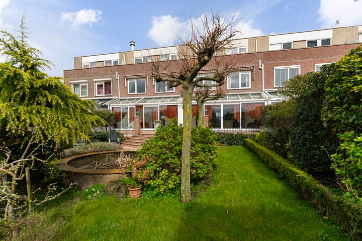 Foto 26 van Aalscholver 3