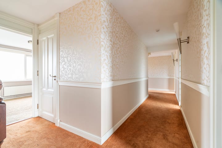 Foto 29 van Aalscholver 3