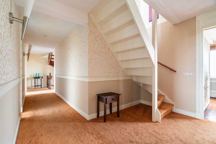 Foto 30 van Aalscholver 3