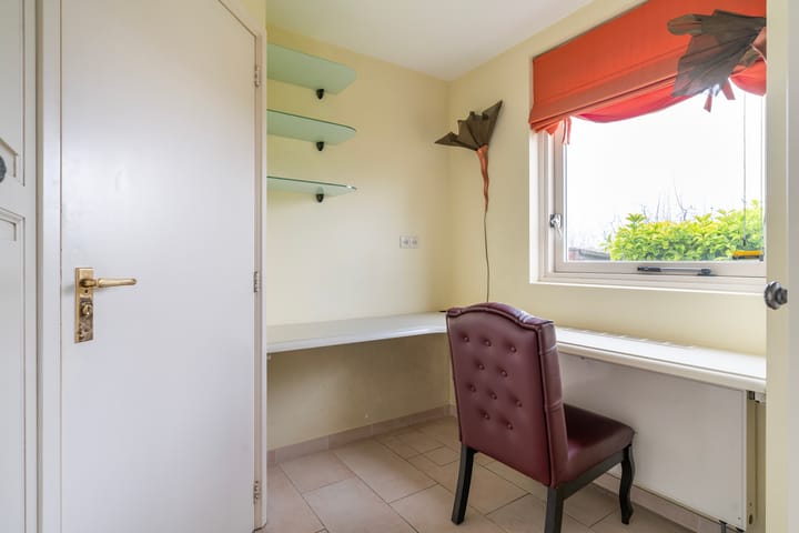 Foto 31 van Aalscholver 3