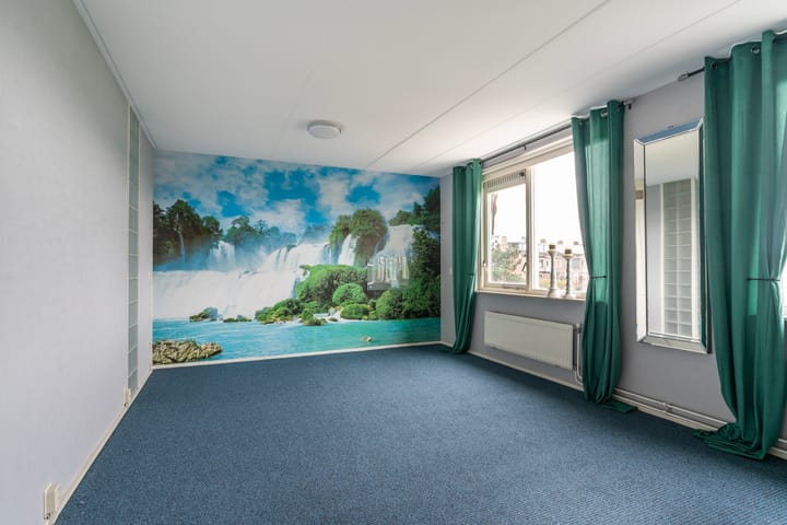 Foto 32 van Aalscholver 3