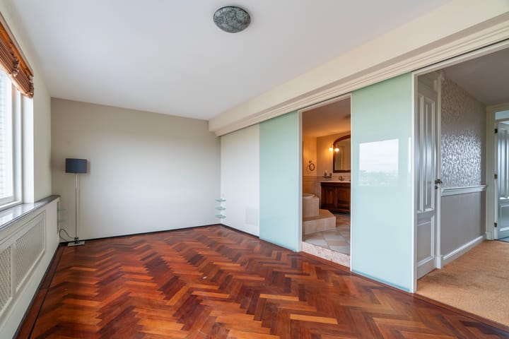 Foto 36 van Aalscholver 3