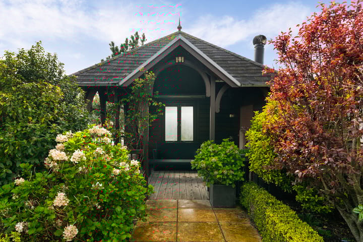 Foto 27 van Aalscholver 3