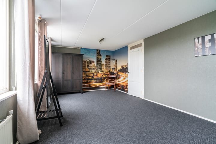 Foto 35 van Aalscholver 3