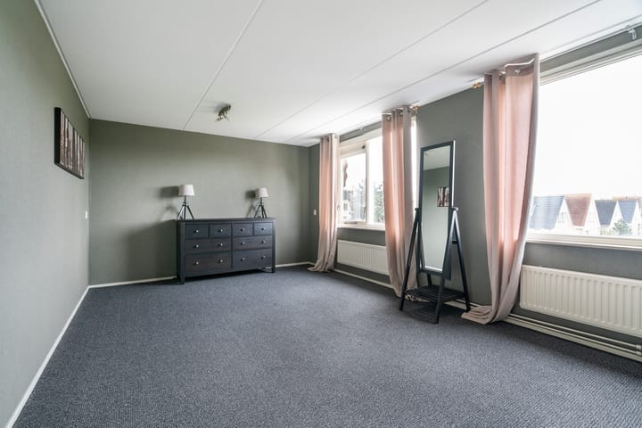 Foto 34 van Aalscholver 3