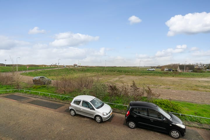 Foto 39 van Aalscholver 3