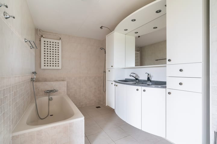 Foto 45 van Aalscholver 3