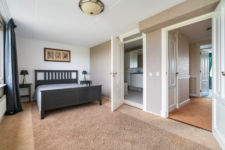 Foto 43 van Aalscholver 3