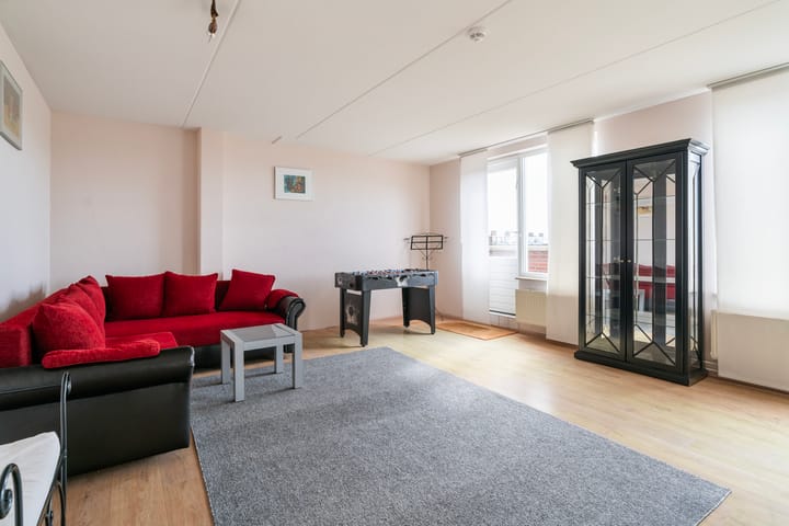 Foto 48 van Aalscholver 3