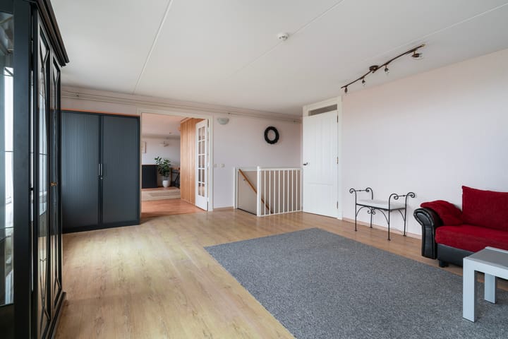 Foto 49 van Aalscholver 3