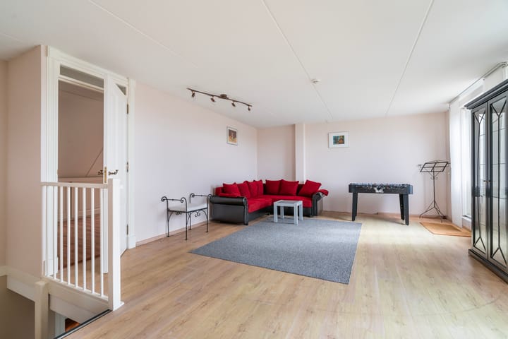 Foto 47 van Aalscholver 3