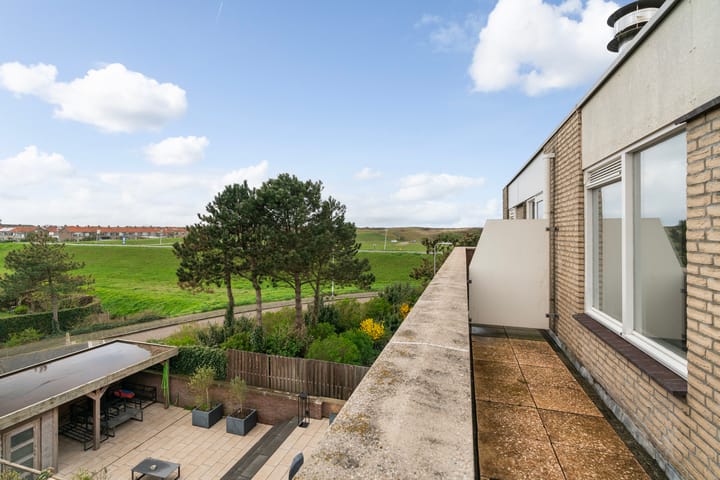 Foto 3 van Aalscholver 3