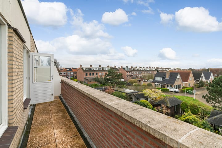 Foto 52 van Aalscholver 3