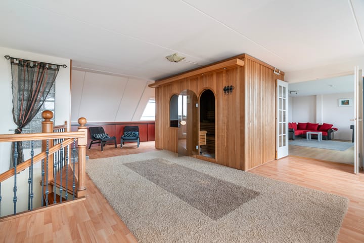 Foto 54 van Aalscholver 3