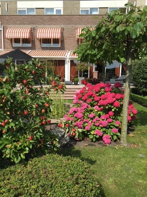 Foto 60 van Aalscholver 3