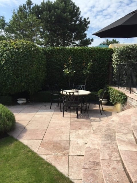 Foto 62 van Aalscholver 3