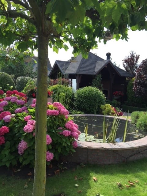 Foto 61 van Aalscholver 3