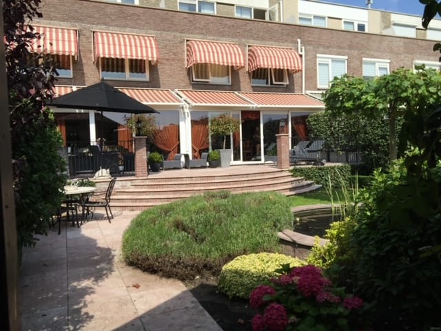 Foto 2 van Aalscholver 3