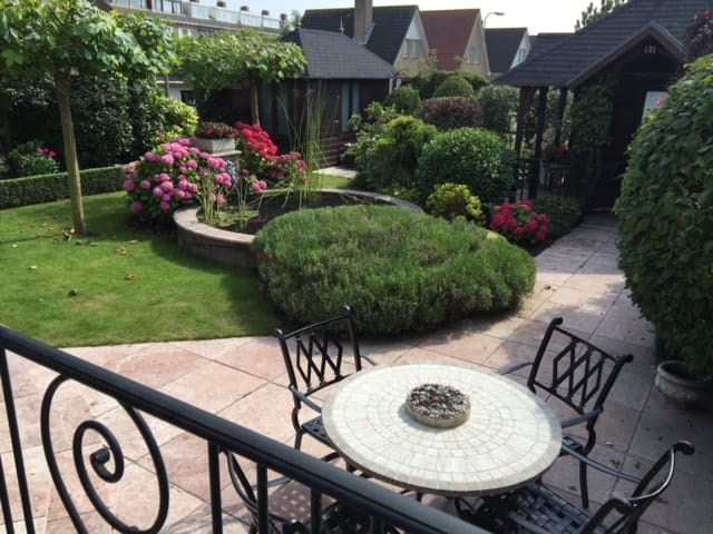 Foto 63 van Aalscholver 3